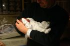 A cuddle with grandad.